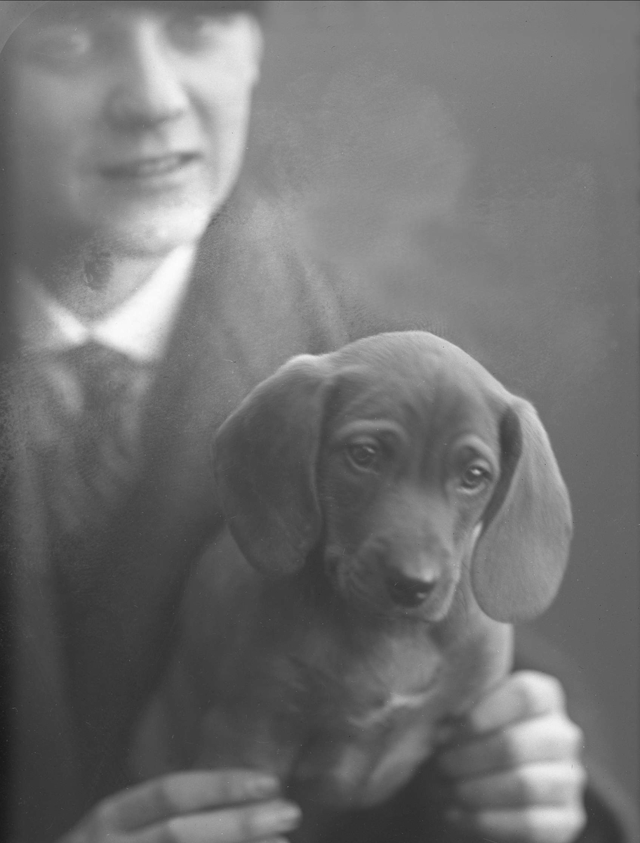 Gustav Borgen, En mann holder opp en hund. Baker Hansens hund.