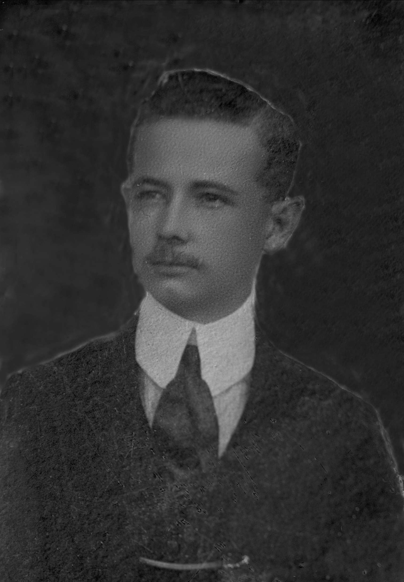 Gustav Borgen, Avfotografering.