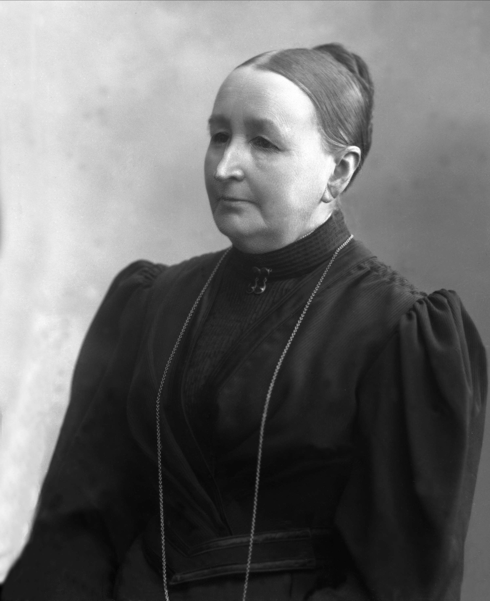 Gustav Borgen, NFB.53098