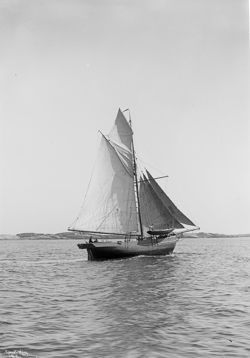 Anders Beer Wilse, Hønerævskøyte