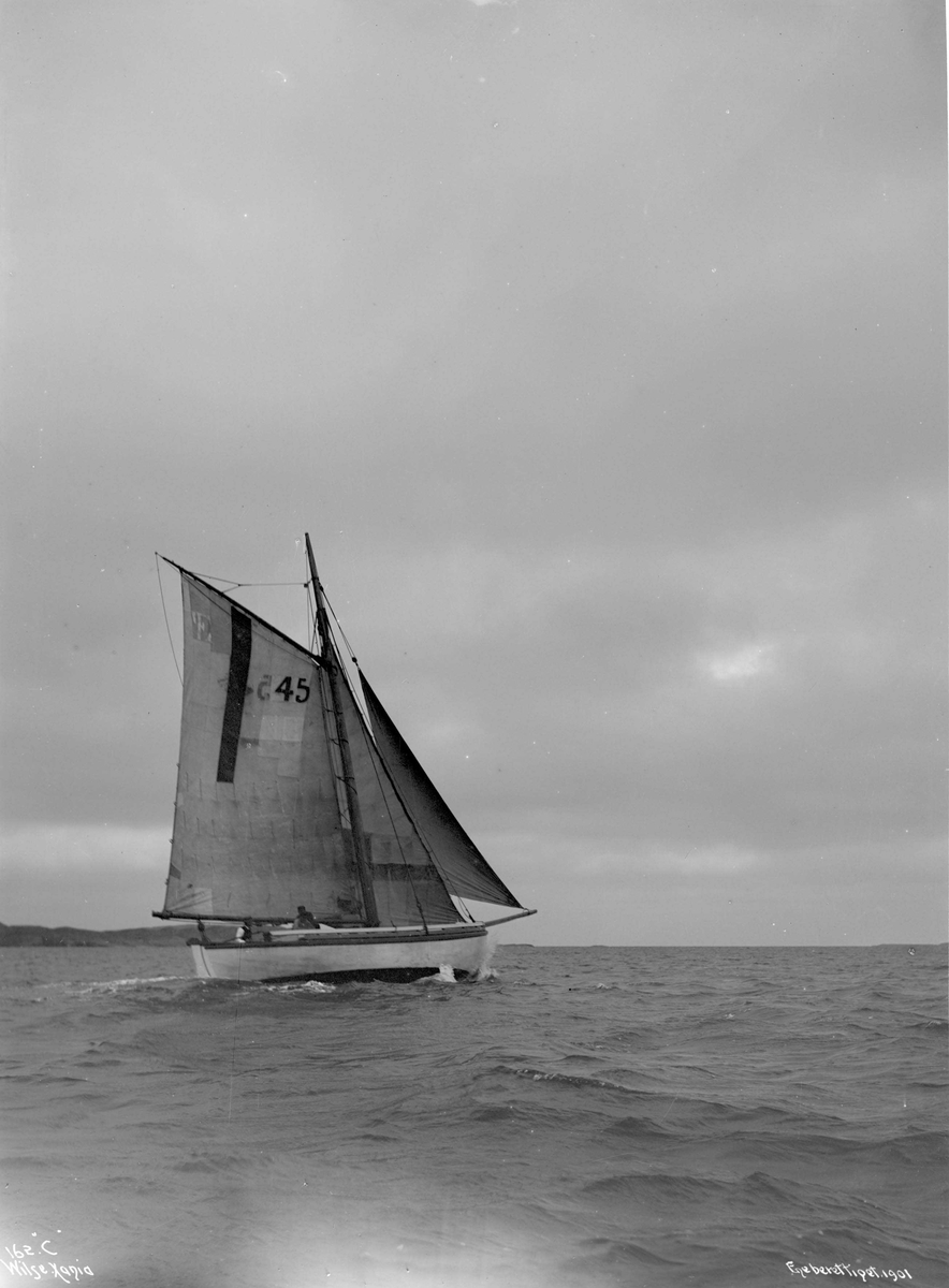Anders Beer Wilse, Losbåt