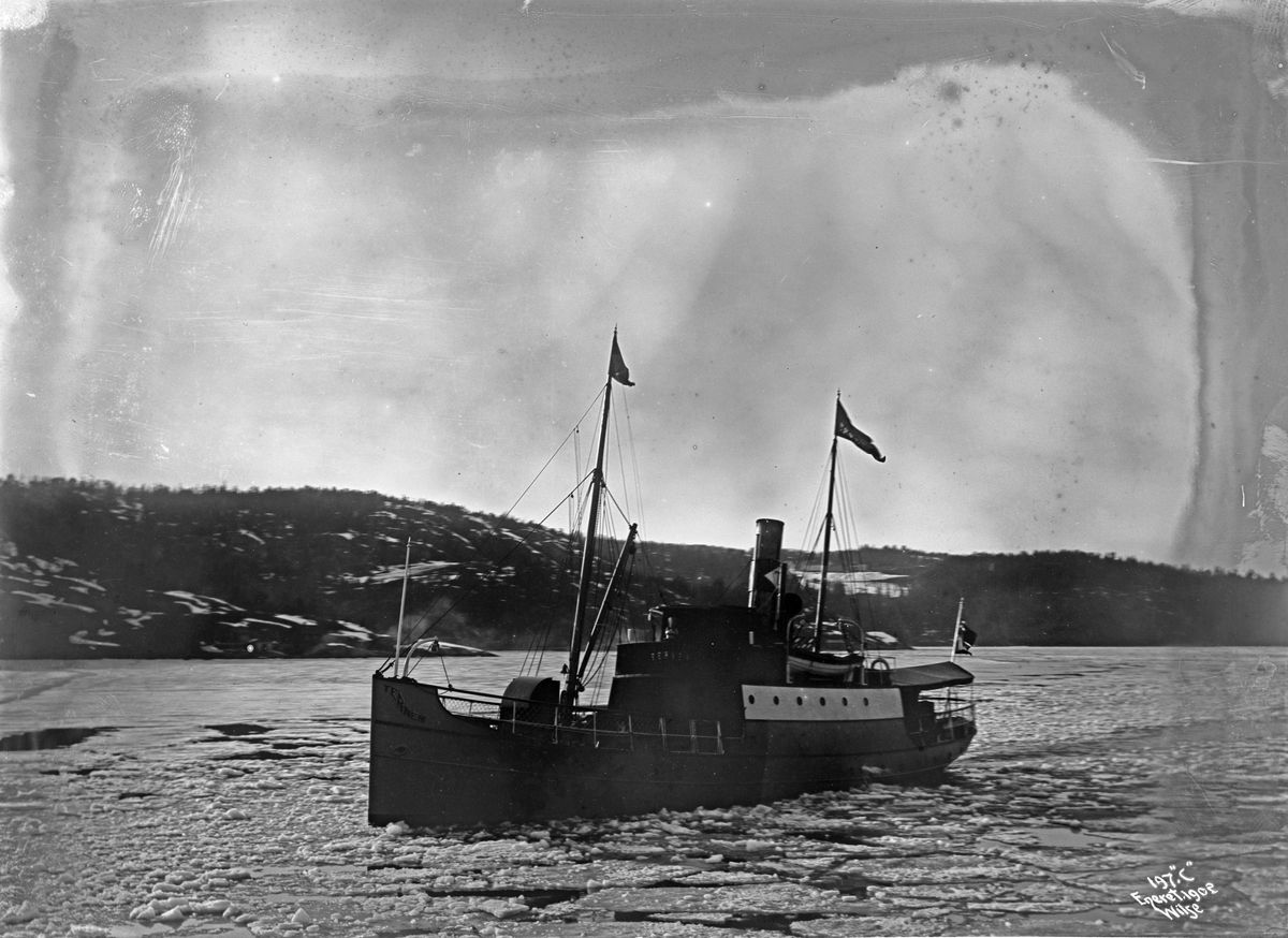 Anders Beer Wilse, D/S Ternen (b. 1897, Thorskogs Mekaniska Verkstad, Gøteborg), Bundefjord i is