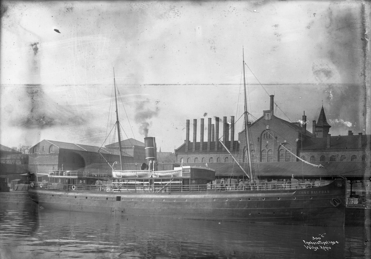 Anders Beer Wilse, D/S Kong Halfdan (b. 1874, W. Lindbergs Actiebolag, Stockholm)