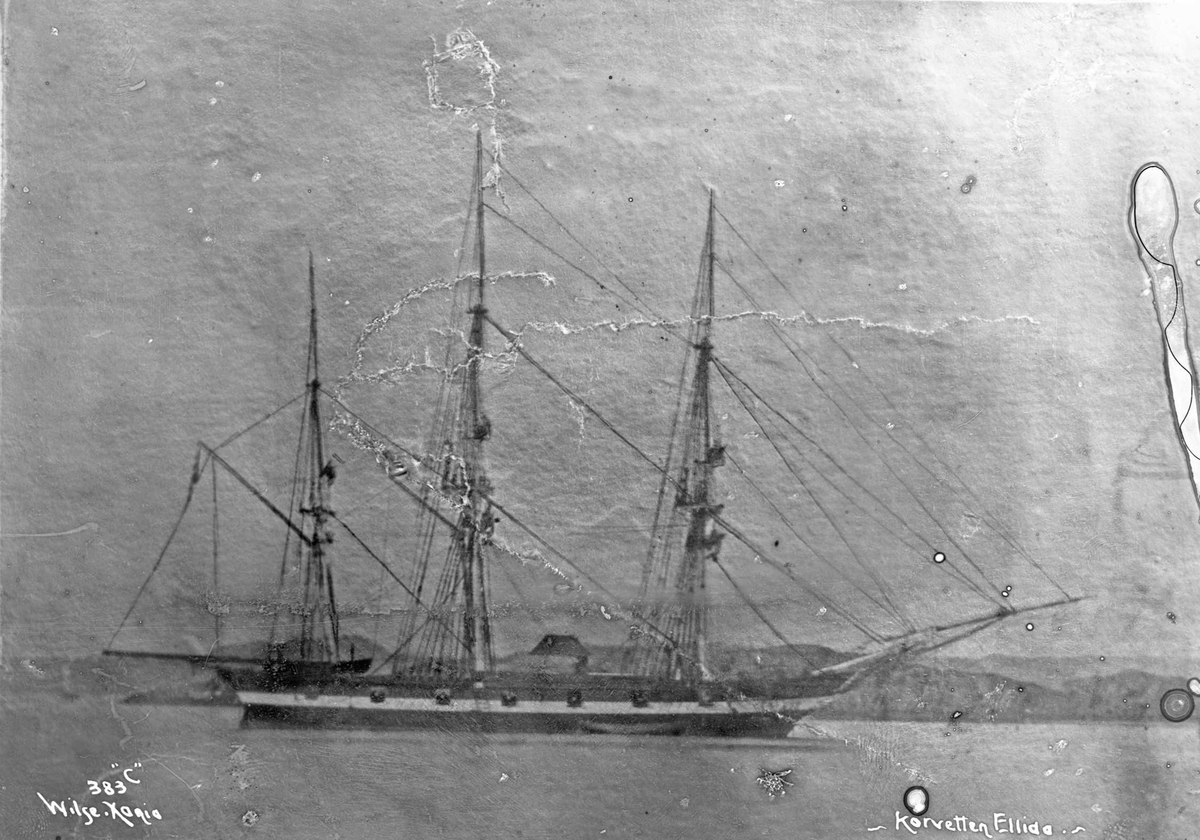 Anders Beer Wilse, Ellida (b. 1849, Karljohansvern Verft, Horten)