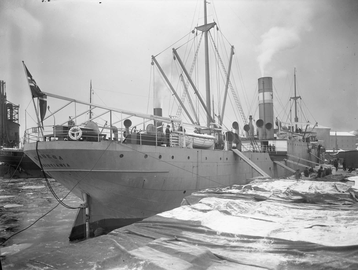Anders Beer Wilse, D/S Noruega (b. 1909, Fevigs Jernskibsbyggeri, Grimstad)