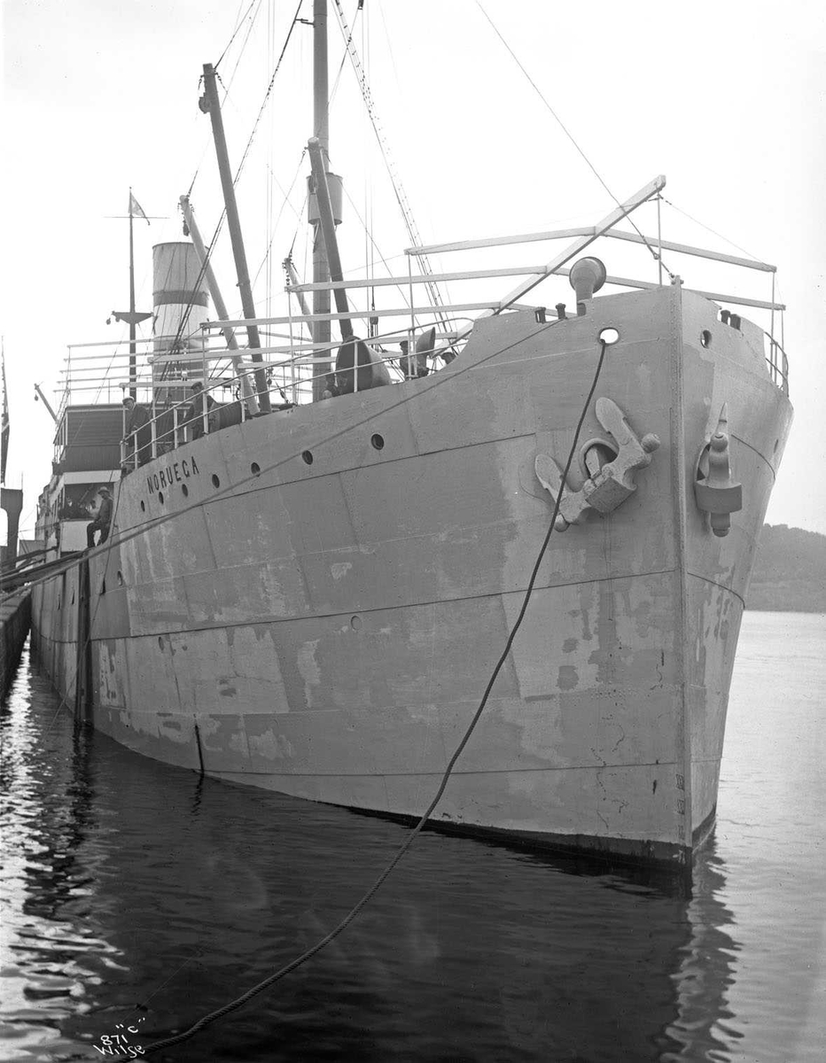 Anders Beer Wilse, D/S Noruega (b. 1909, Fevigs Jernskibsbyggeri, Grimstad)