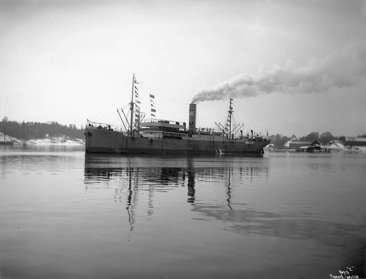 Anders Beer Wilse, D/S Mexicano (b. 1912, Sir James Laing & Sons Ltd., Sunderland)