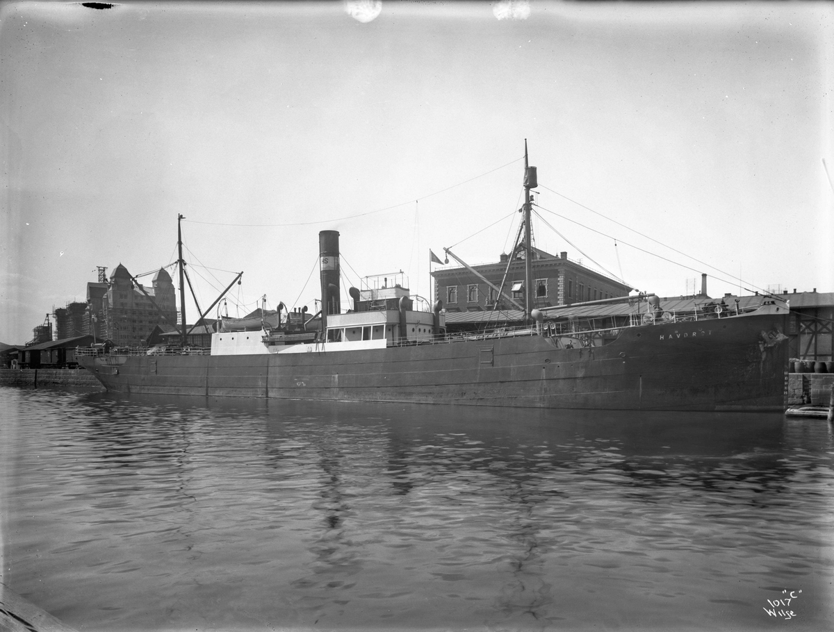 Anders Beer Wilse, D/S Havdrot (b. 1906, Wood, Skinner & Co., Newcastle)