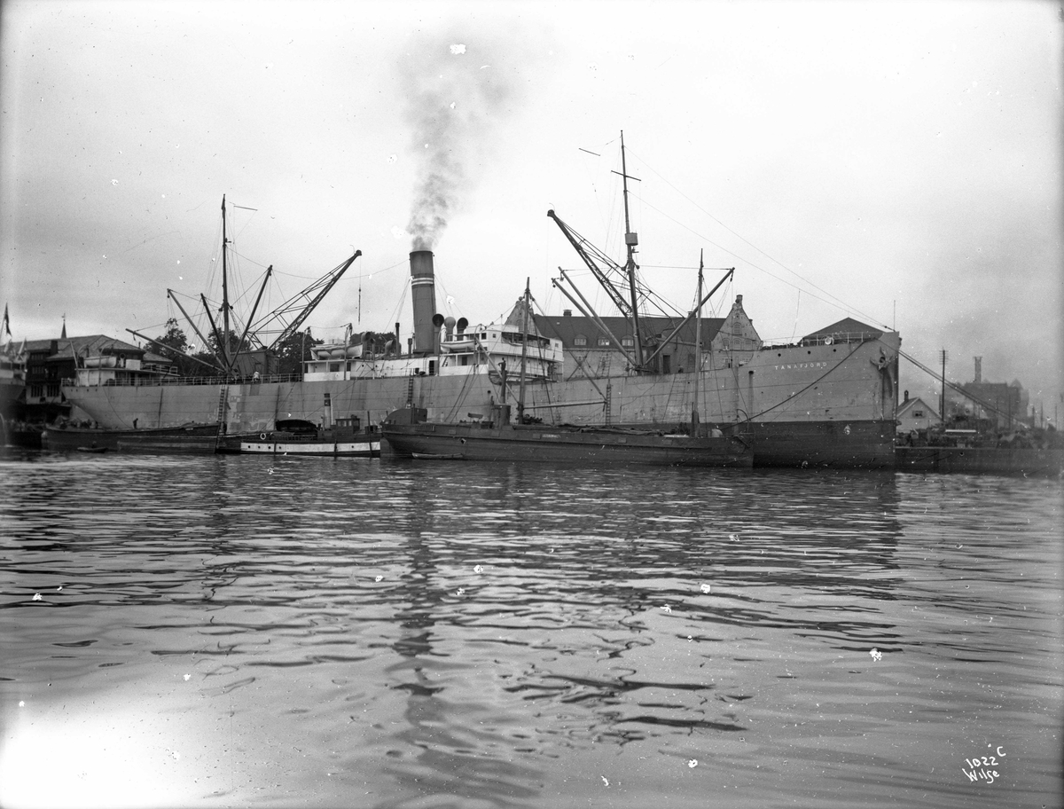 Anders Beer Wilse, D/S Tanafjord (b. 1900, Sir Raylton Dixon & Co., Middlesborough)