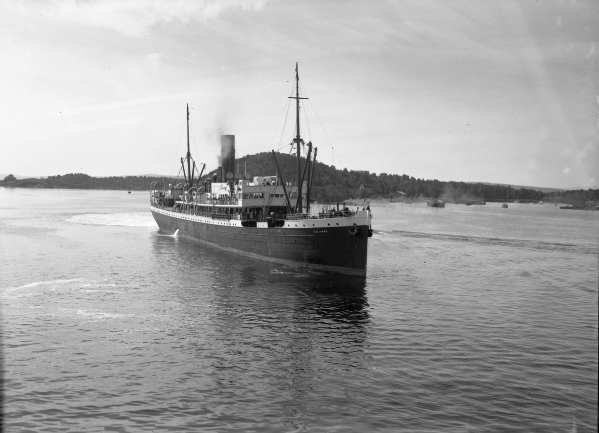Anders Beer Wilse, D/S Calypso (b. 1898, Sir Raylton Dixon & Co., Middlesborough)