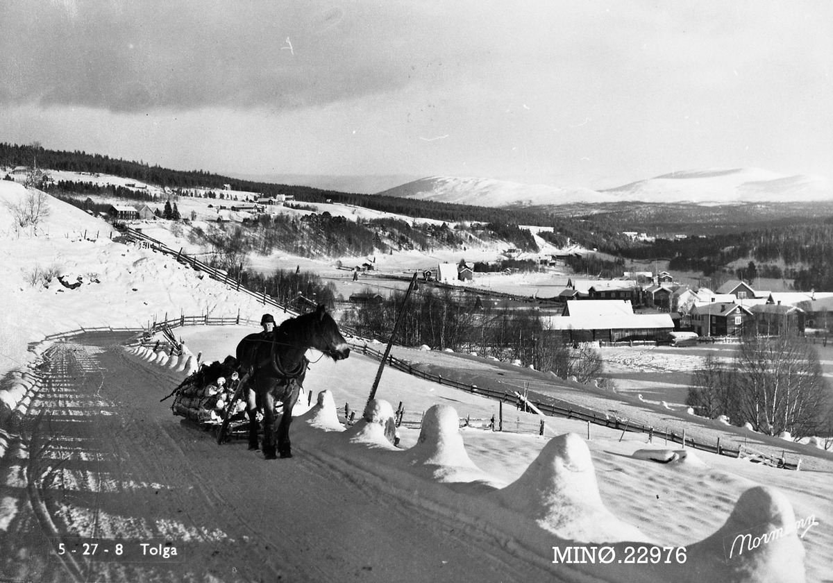 Carl Gustav Normann, Vedkjøring med hest
