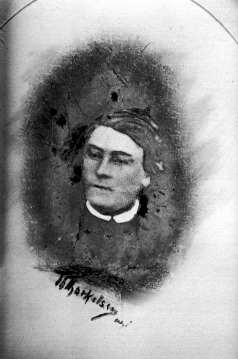 Anno Domkirkeodden, Hans Frantsen Vien 1843-1897, Vien, Helgøya.