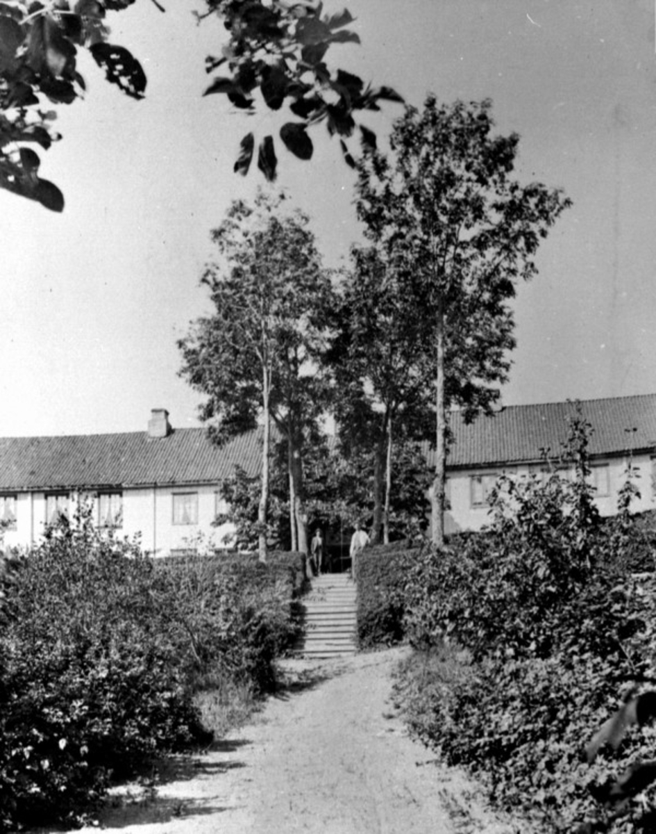 Anno Domkirkeodden, Hovedbygningen på Hovinsholm, Helgøya fra hagen. 2 menn i trappa.
