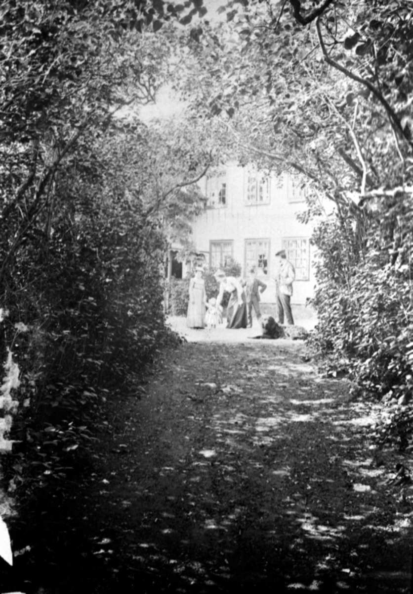 Anno Domkirkeodden, I hagen på Hovinsholm, Helgøya. Gruppe mennesker og hund.