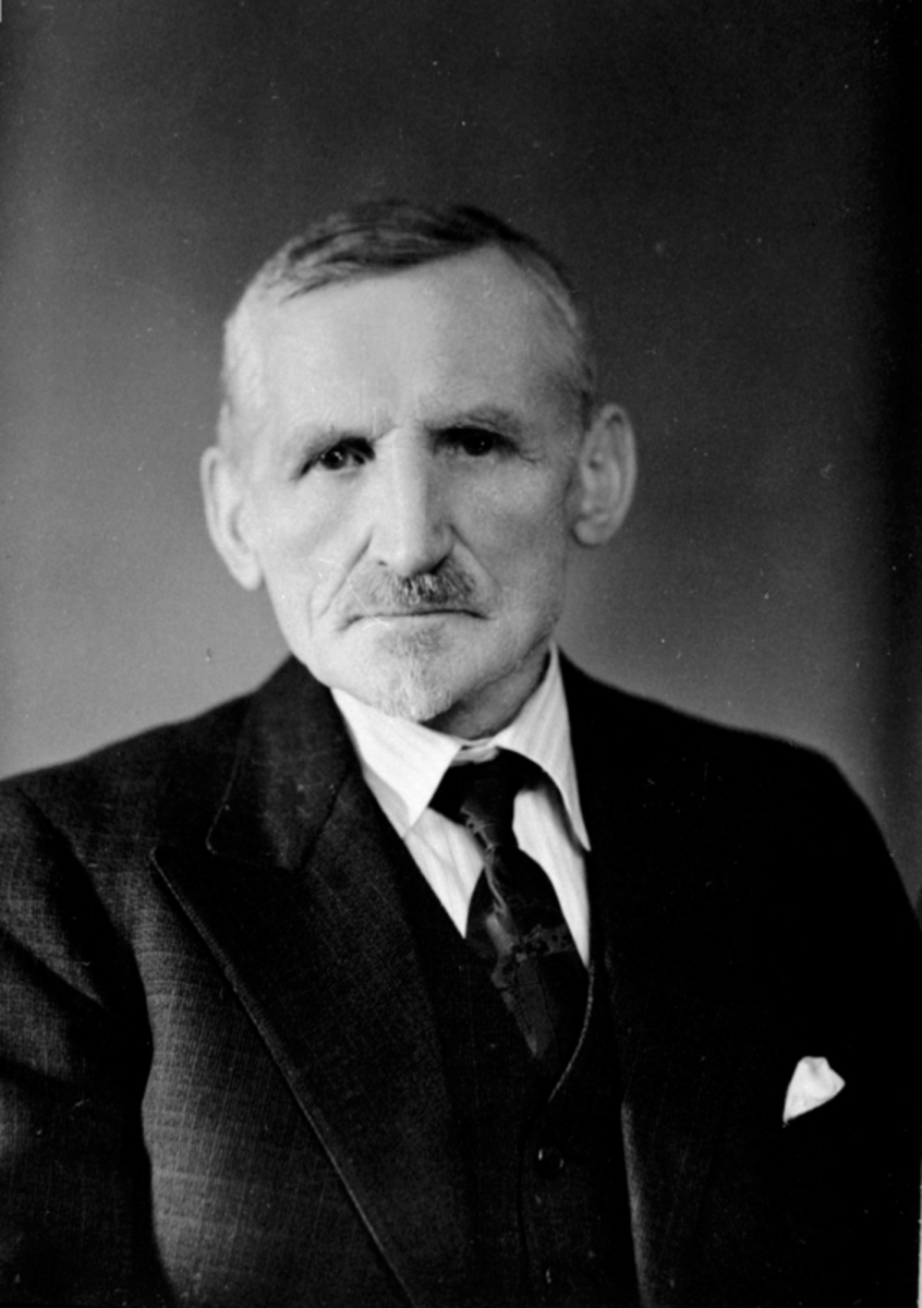 Anno Domkirkeodden, Portrett, gardbruker Johan Hjelmstad, Ringsaker.