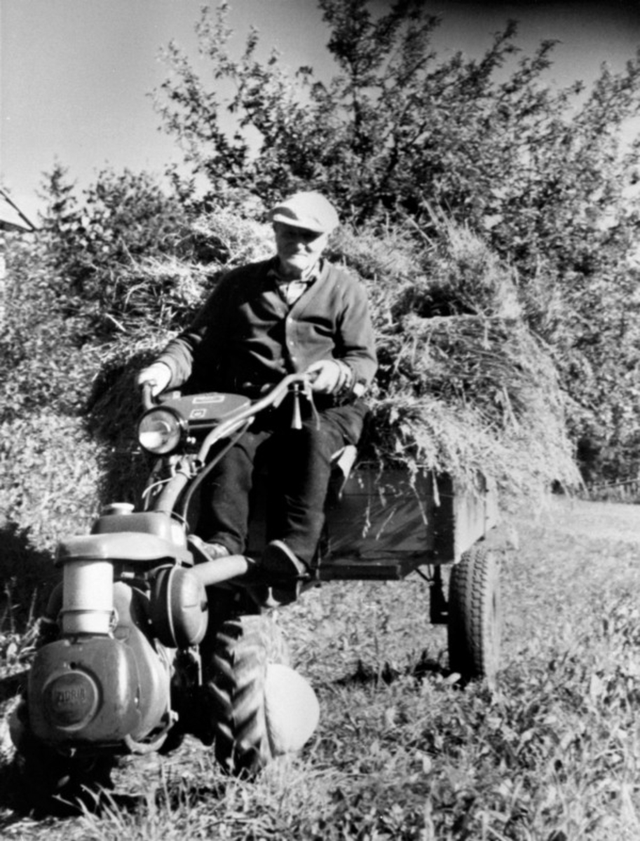 Anno Domkirkeodden, Olaf Antonsen (1882-1975), Bakken, Helgøya kjører lo med tohjulstraktor.