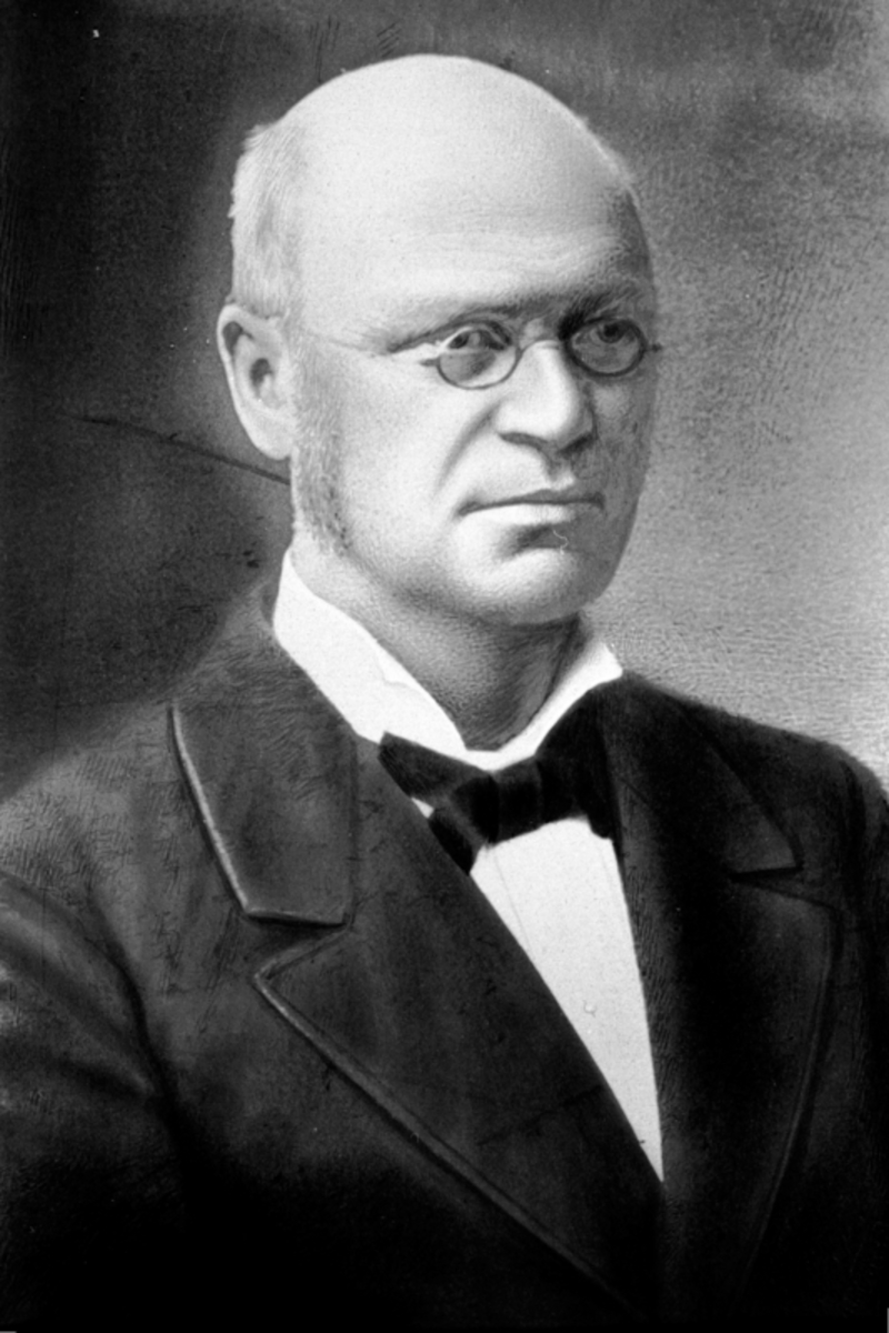 Anno Domkirkeodden, Portrett, brukseier E.M. Erichsen (1821-1885)