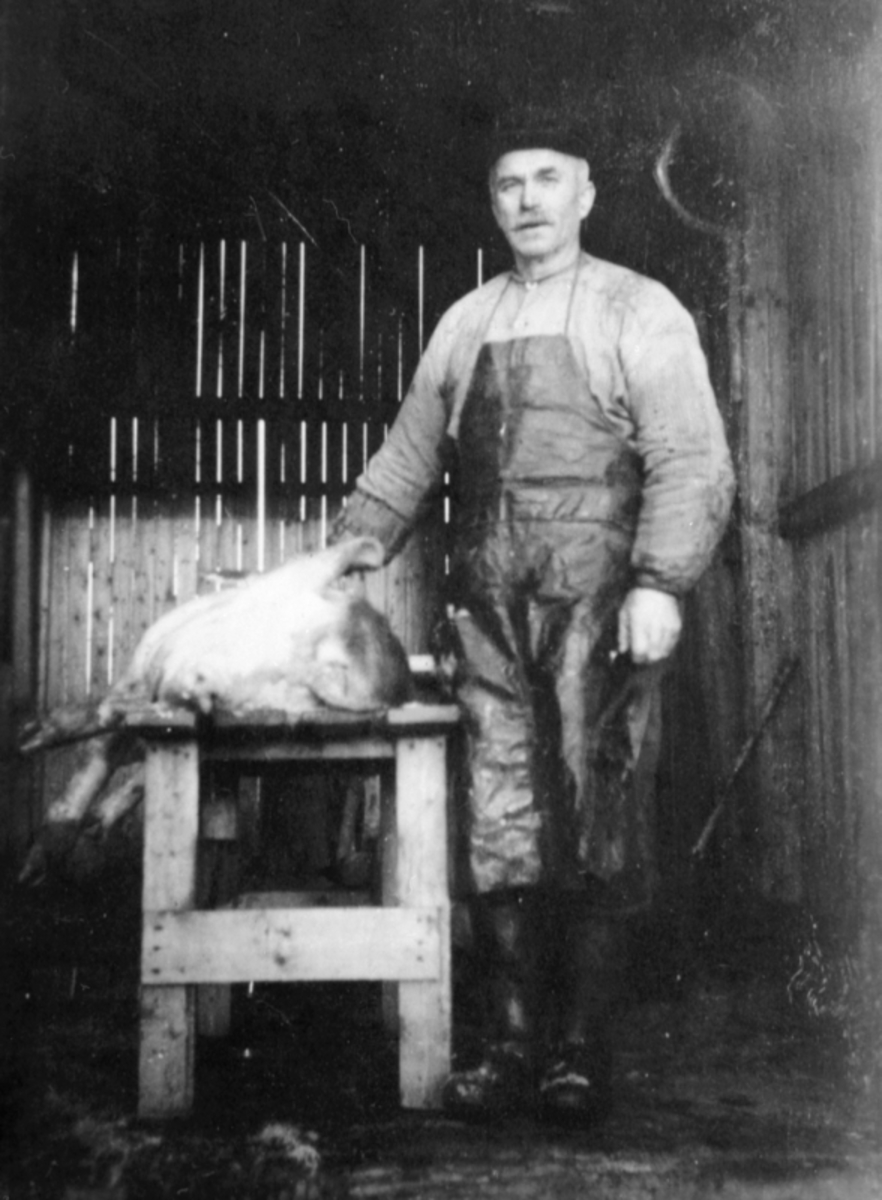 Anno Domkirkeodden, Bygdeslakter Nils Houmbshagen med gris på slakterbenk, Sveen, Veldre, Ringsaker.