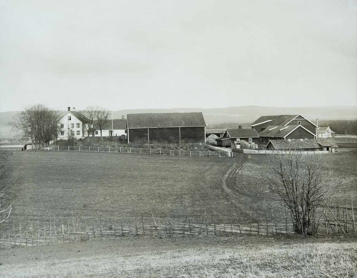 Anno Domkirkeodden, EKSTERIØR: GARDSBRUK, BUSVOLD GÅRD, I BAKGRUNNEN. : ROMEDAL BRENNERI UNDEROPPBYGGING,
