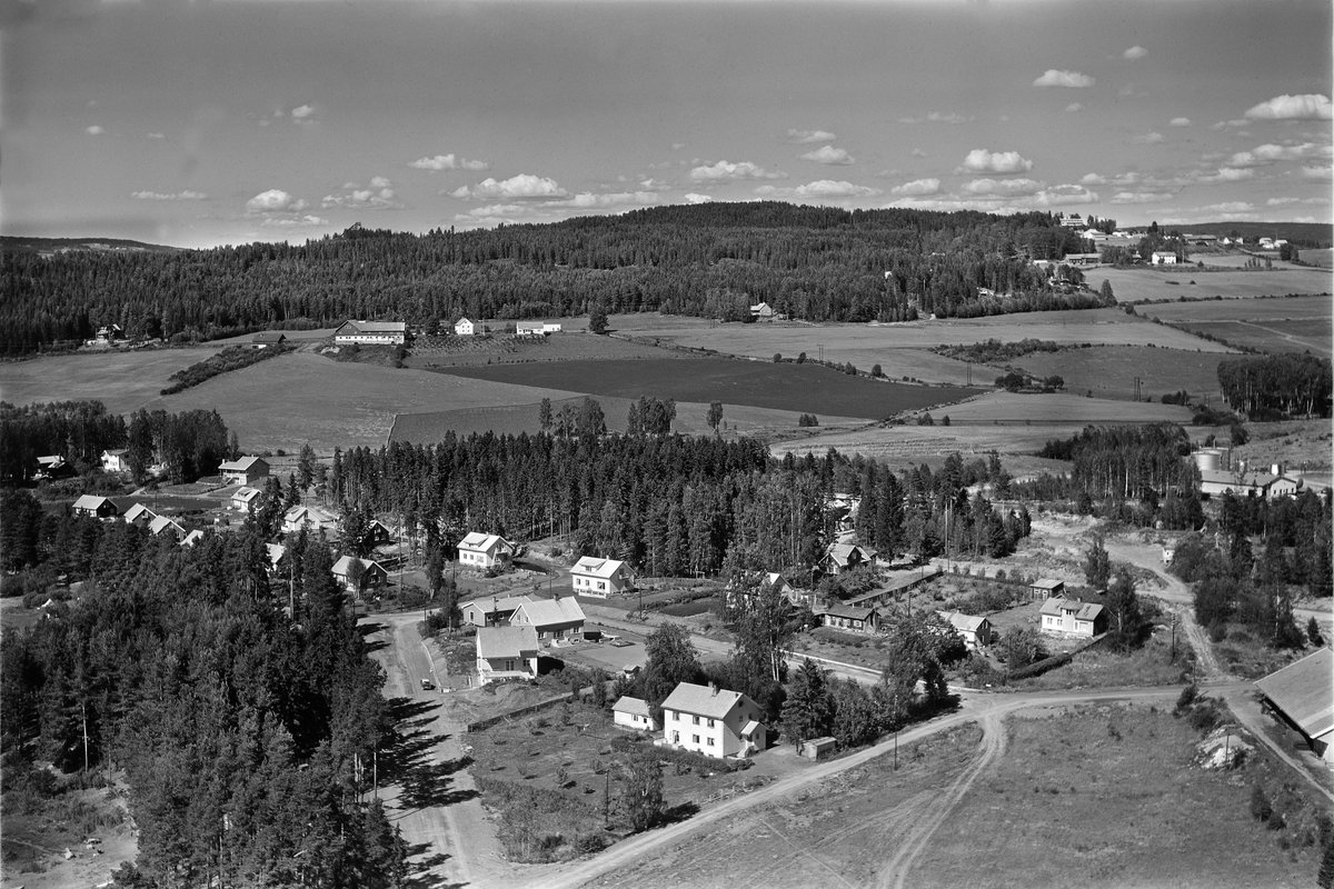 Widerøes Flyveselskap A/S, FLYFOTO STRANDVEGEN/FJORDGLØTTVEGEN, BAGLERVEGEN, BIRKEBEINERVEGEN. STORHAMAR, HOLSJORDET FØR UTBYGGING