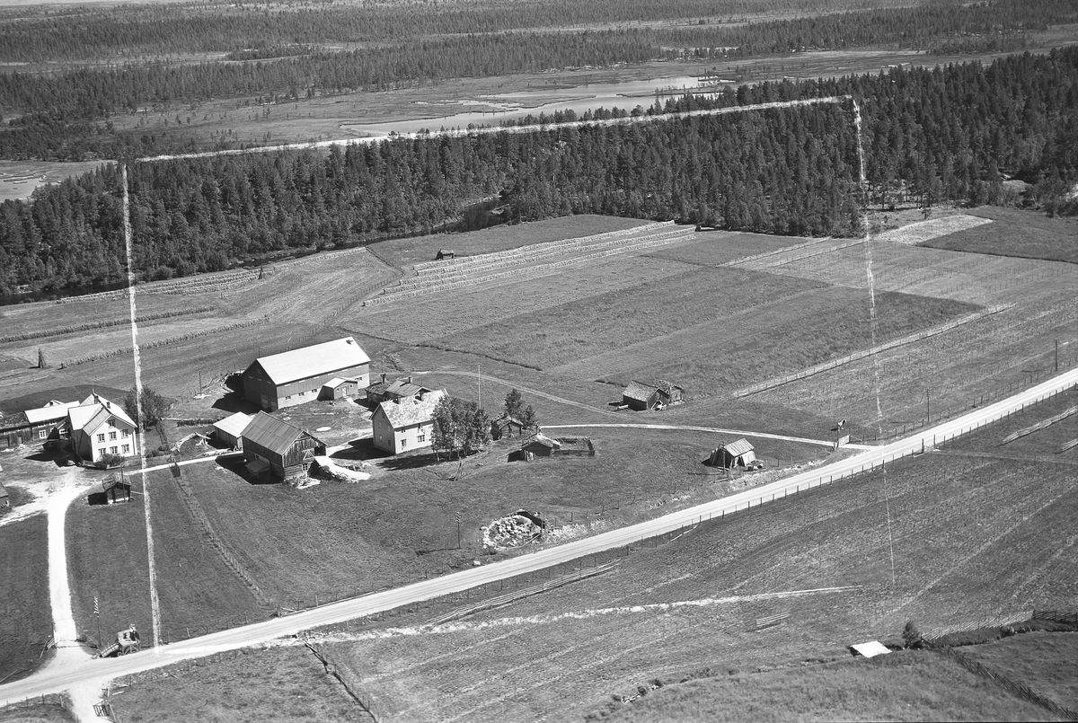 Widerøes Flyveselskap A/S, Gardsbruk, hesjer