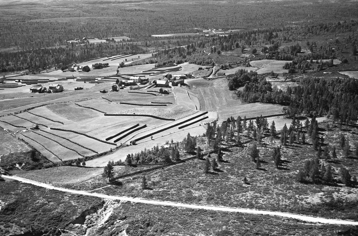 Widerøes Flyveselskap A/S, Gardsbruk, hesjer