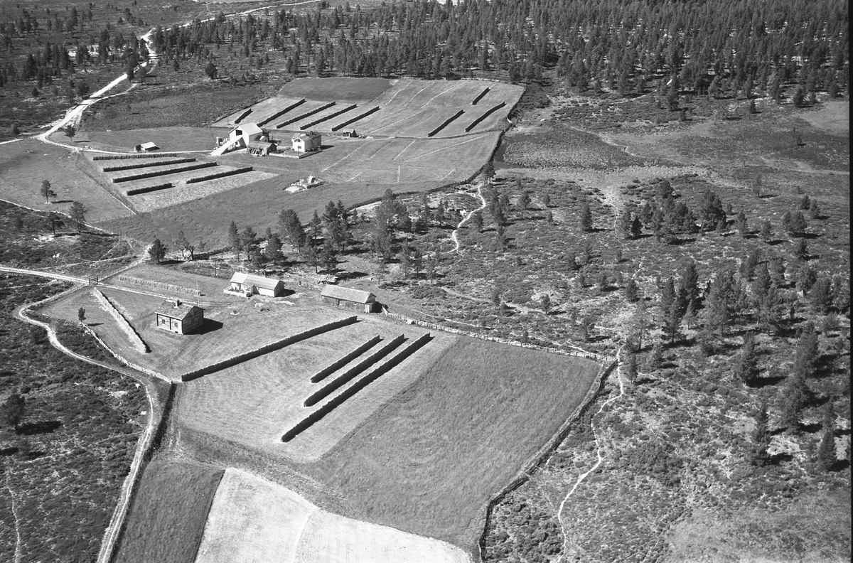 Widerøes Flyveselskap A/S, Gardsbruk