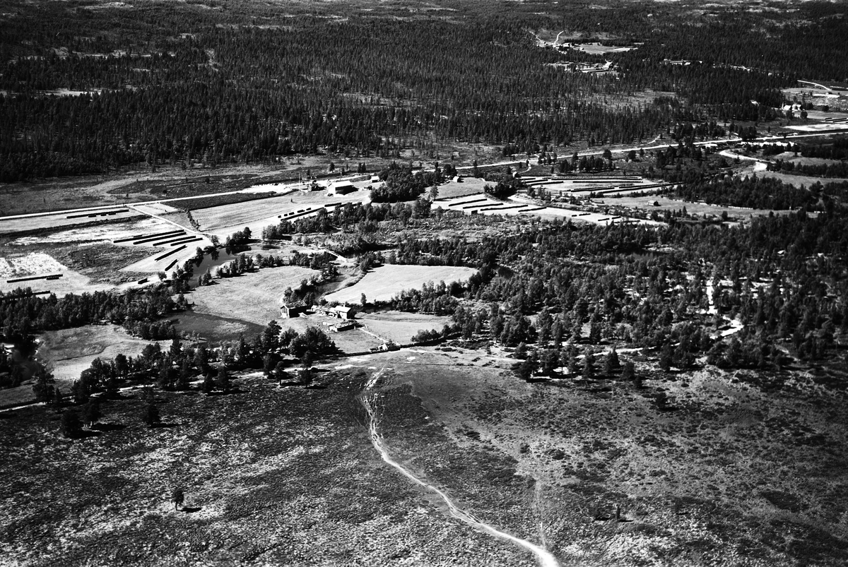 Widerøes Flyveselskap A/S, Gardsbruk, hesjer