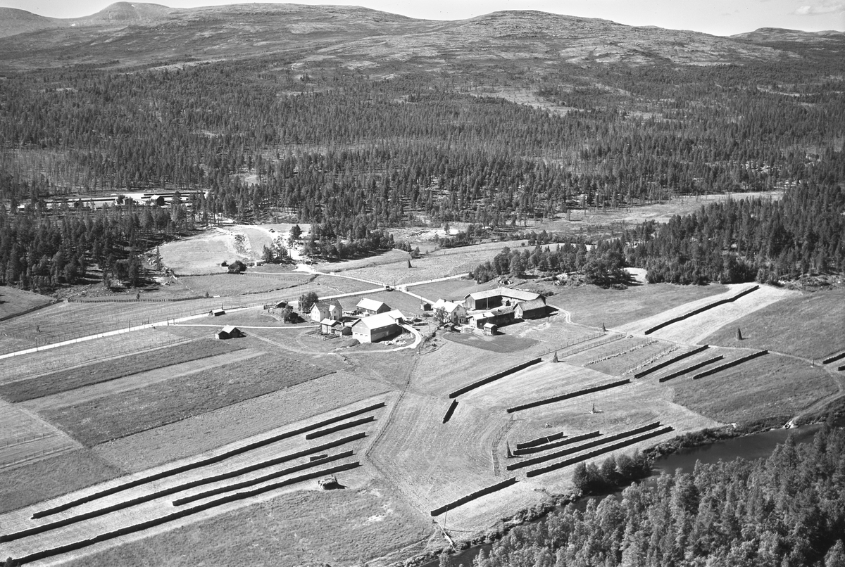 Widerøes Flyveselskap A/S, Gardsbruk, hesjer