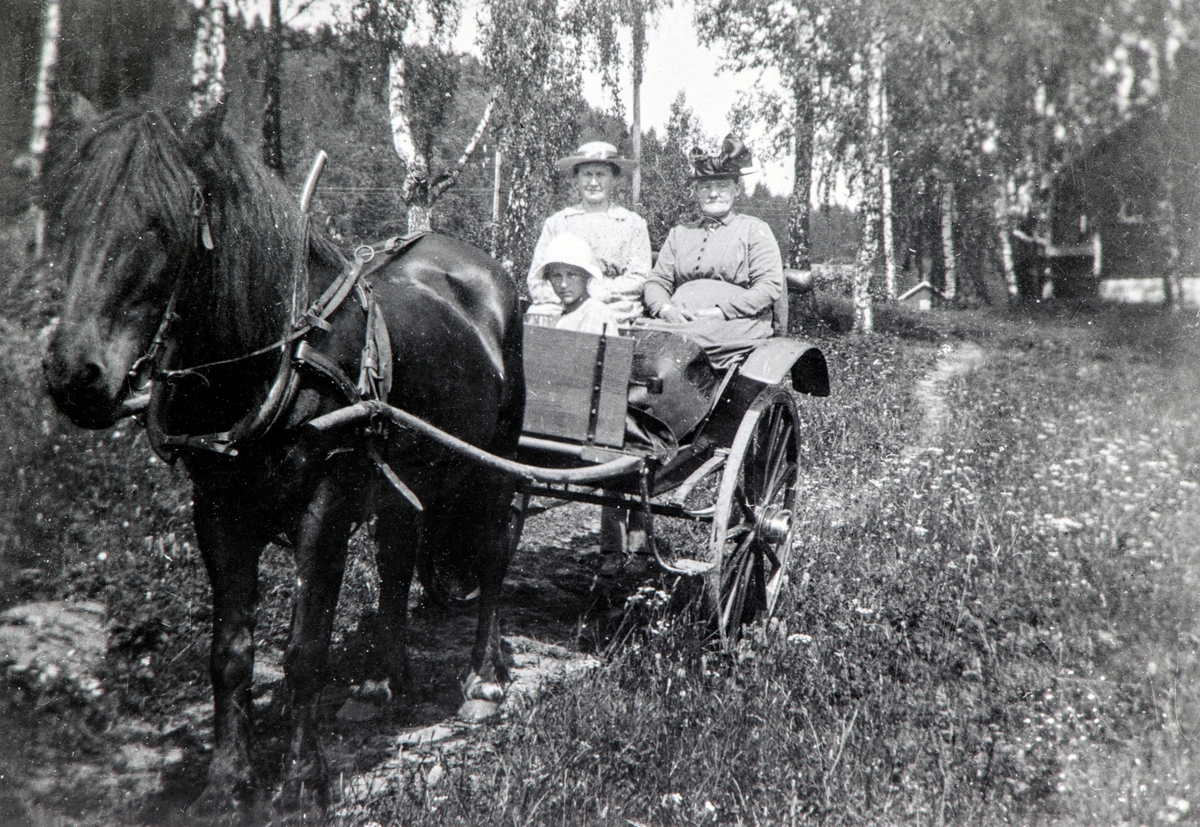 Anno Domkirkeodden, Hest med vogn. Petra Rud kjører med Klara Haug og ukjent. Orgelhaug under Kvam, Nes, Hedmark.