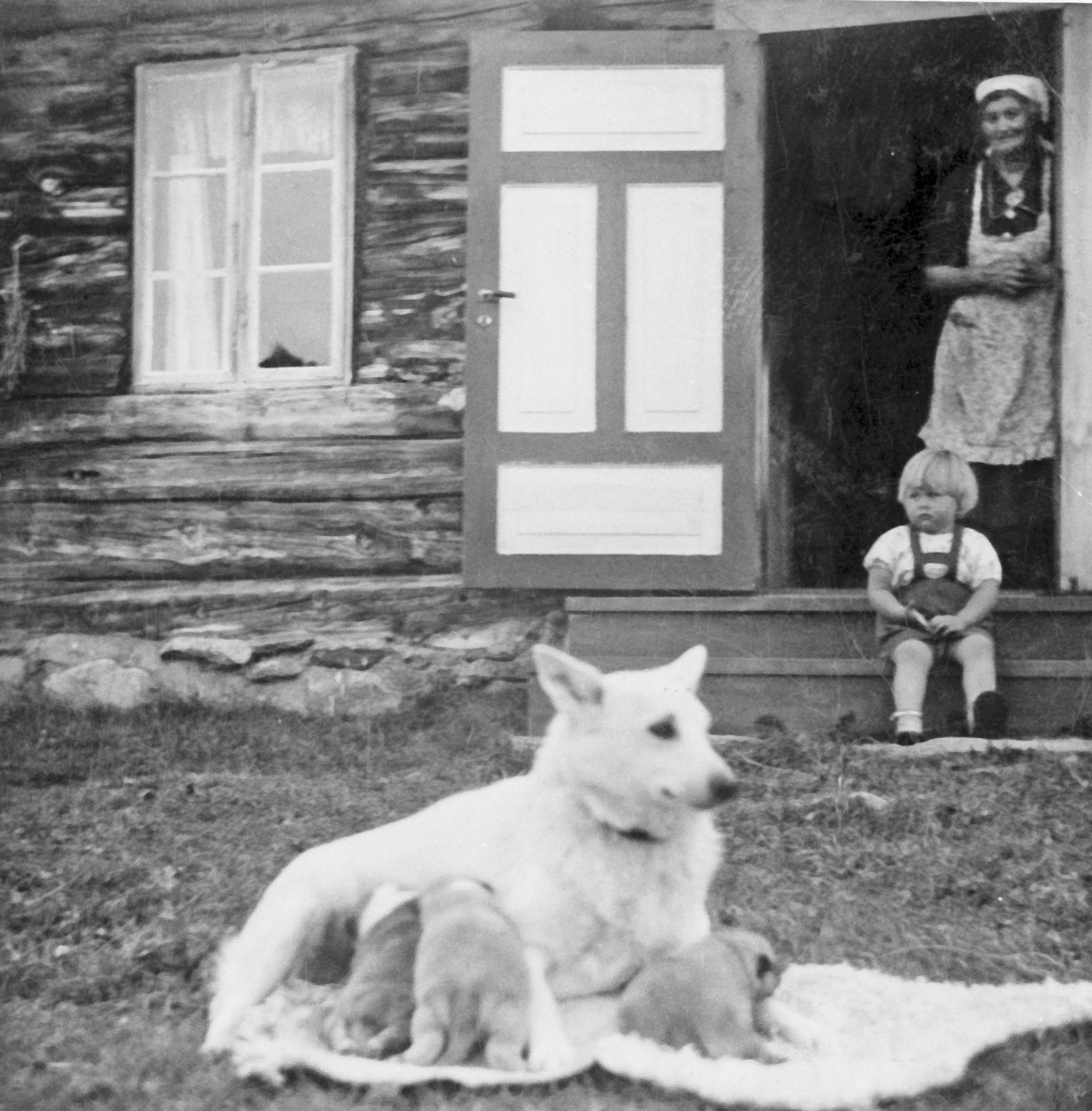Rachel Haarseth, Hund m/valper, personer, klær, seterhus.