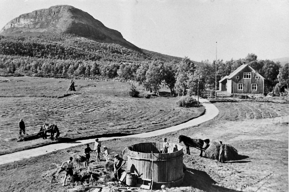 Jan Erik Øvergård, Silo, personer, hester, plog, hus.