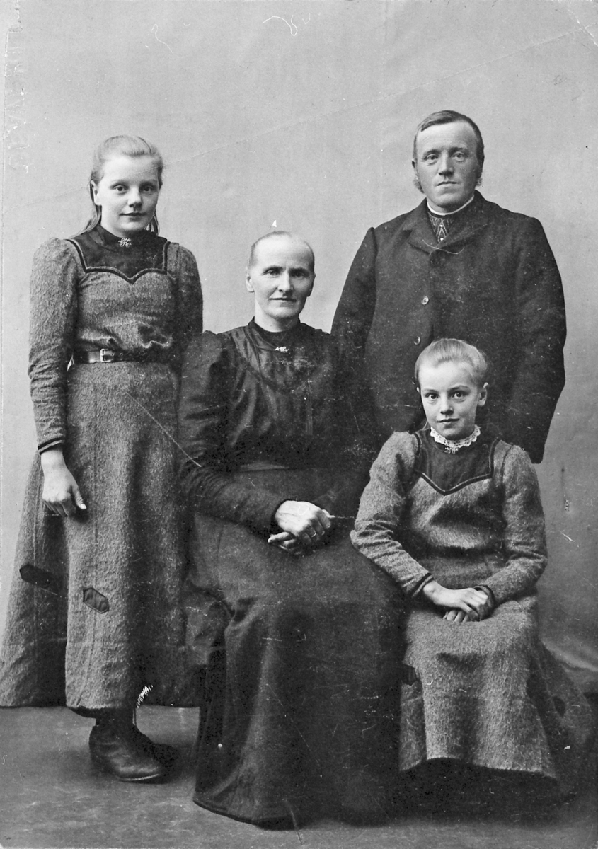 Ukjent, Portrett av familie