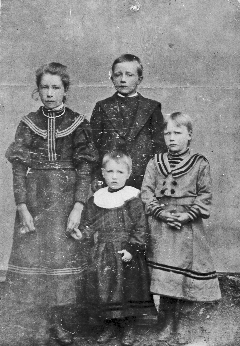 Ukjent, Familiebilde, søskenflokk på Eidehaugen