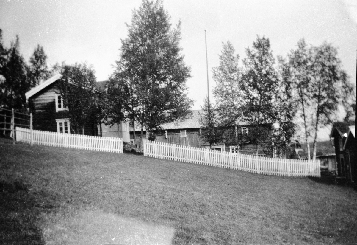 Amund Haugen, Gardsbruk - Nygjelten