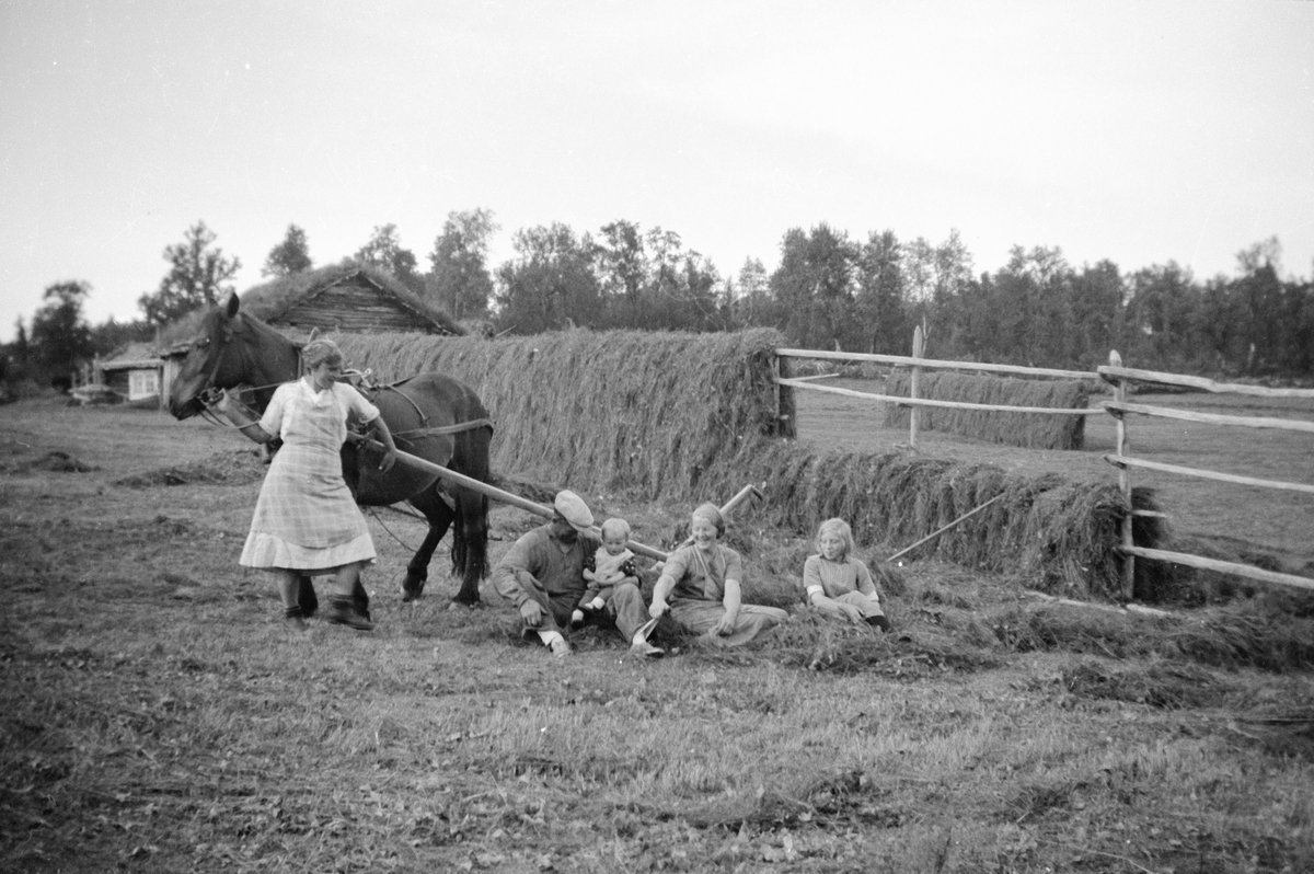 Amund Haugen, Høyberging på setra