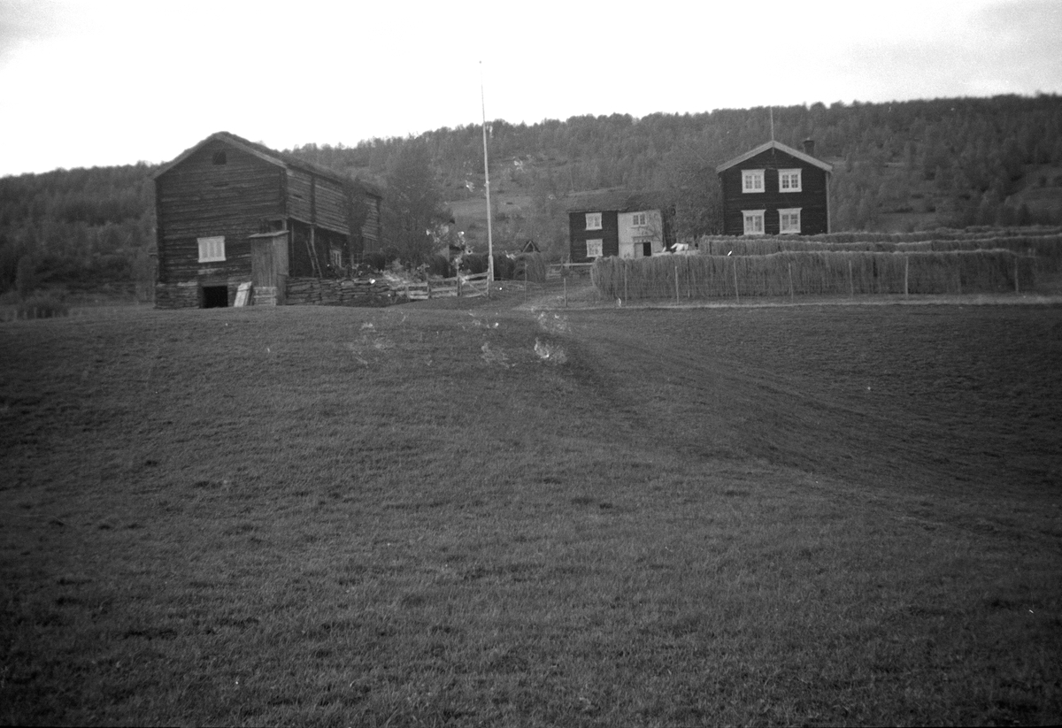 Amund Haugen, Gardsbruk - Simashaugen