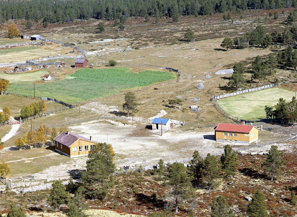 Widerøes Flyveselskap A/S, Flyfoto