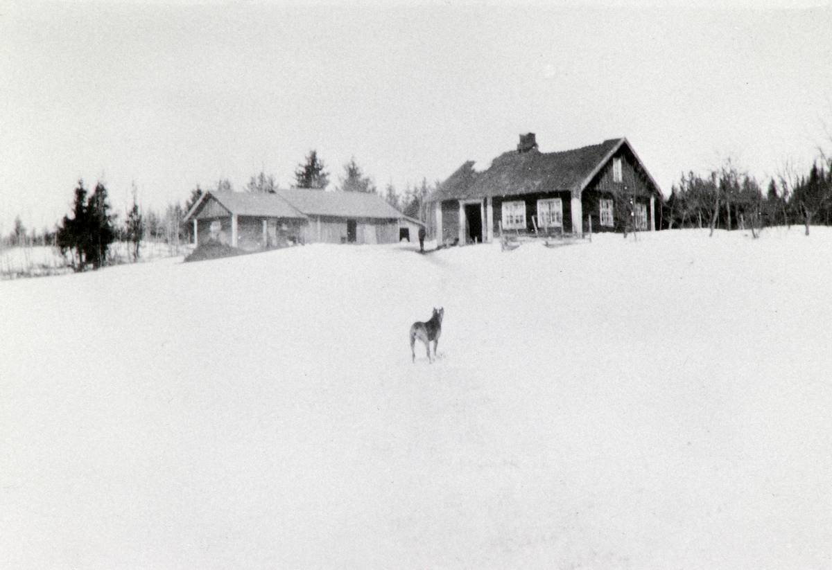 Anno Domkirkeodden, Husmannsplassen Ekeberg på Hoel gård, Nes, Hedmark.