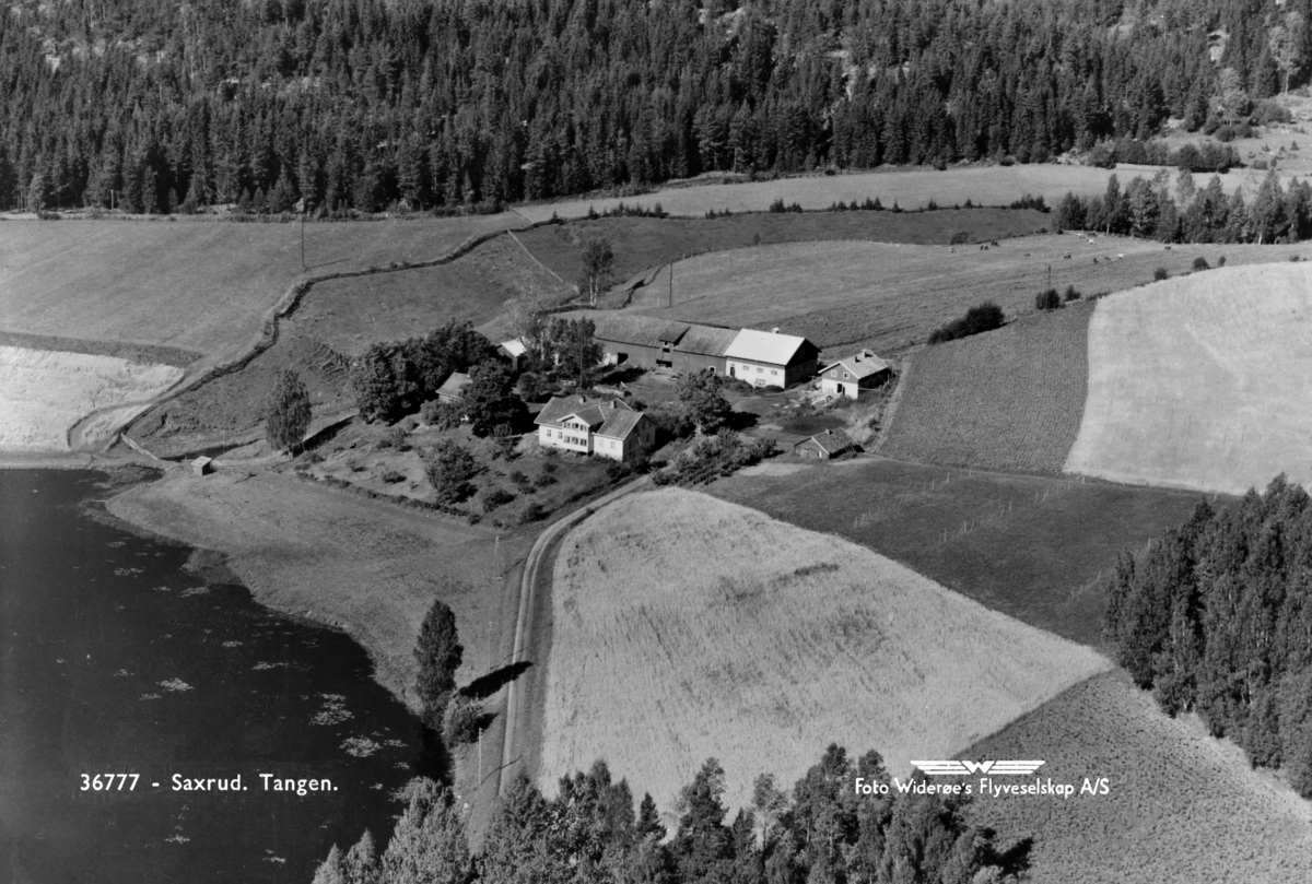 Widerøes Flyveselskap A/S, SAXRUD (SAKSERUD) GÅRD, TANGEN, STANGE. FLYFOTO
