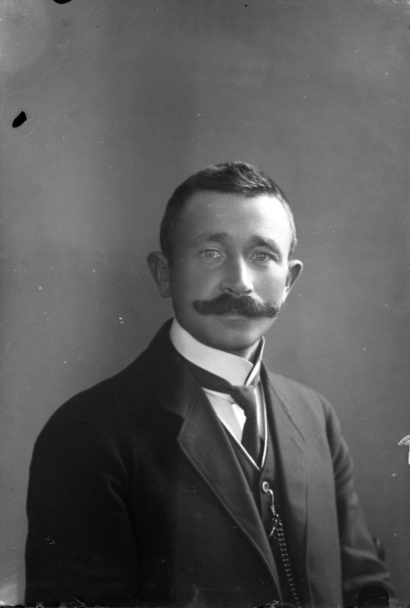 Oscar Holte, Portrett av mann