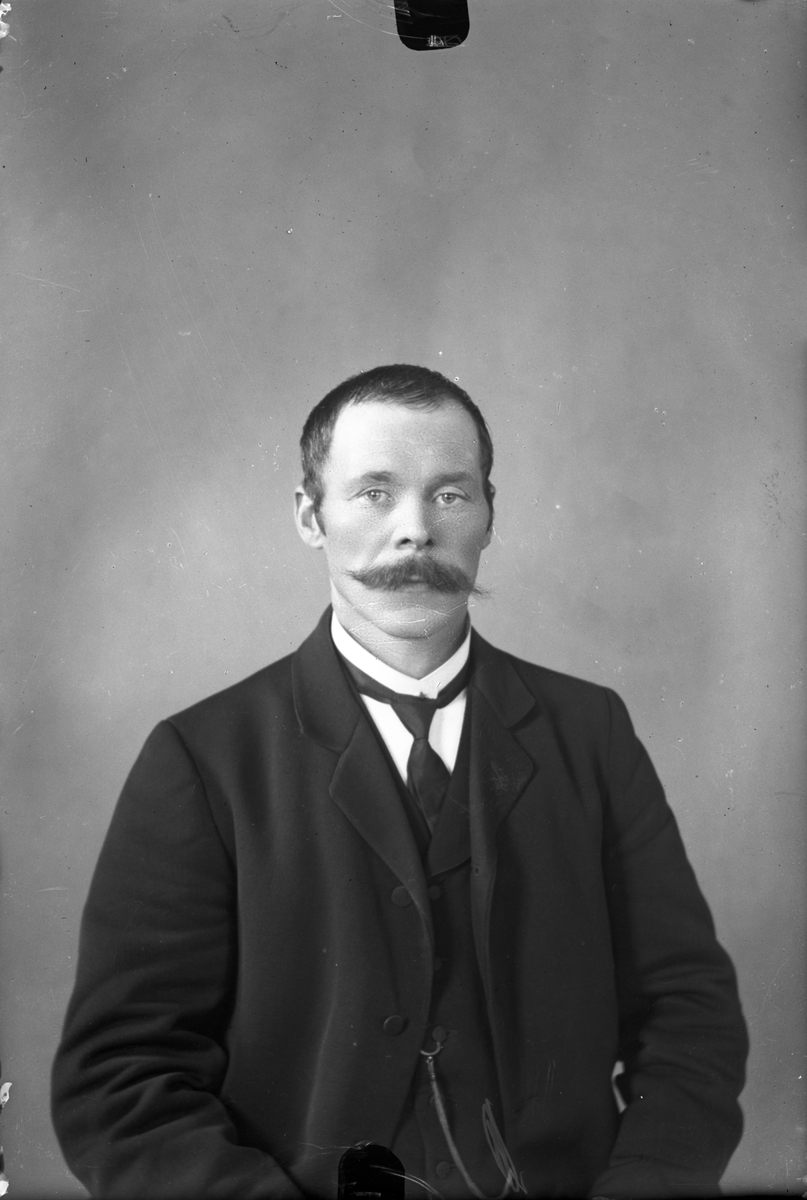 Oscar Holte, Portrett av mann