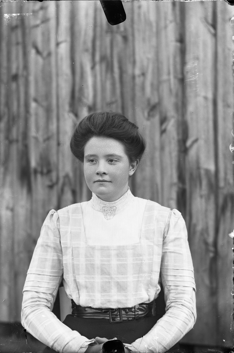 Oscar Holte, Portrett av kvinne
