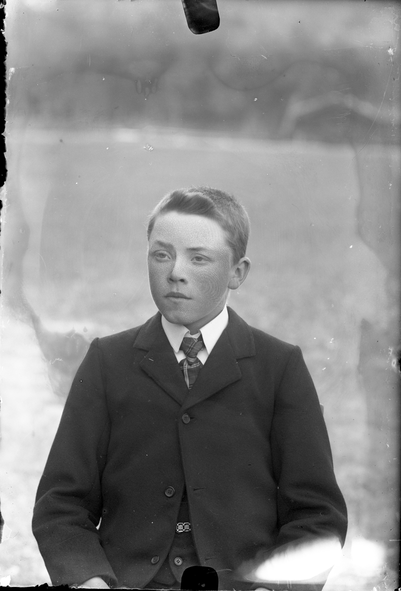 Oscar Holte, Portrett av gutt