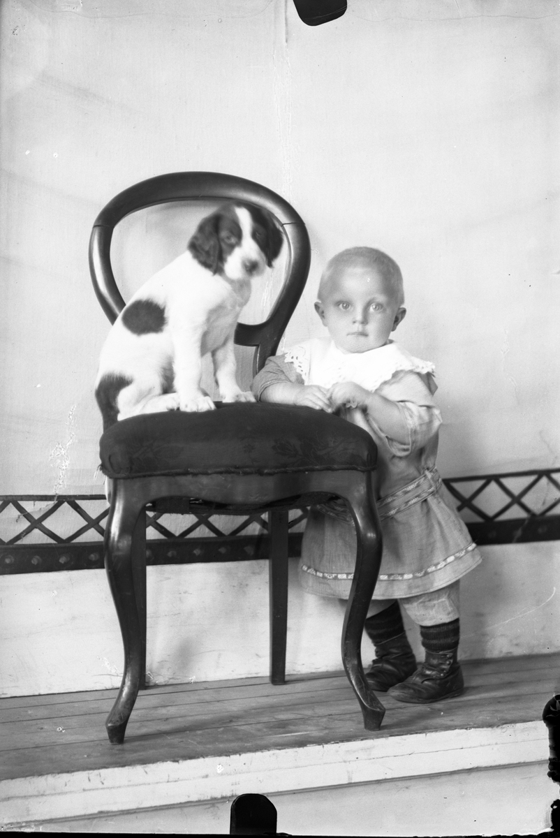 Oscar Holte, Portrett av liten gutt og hund
