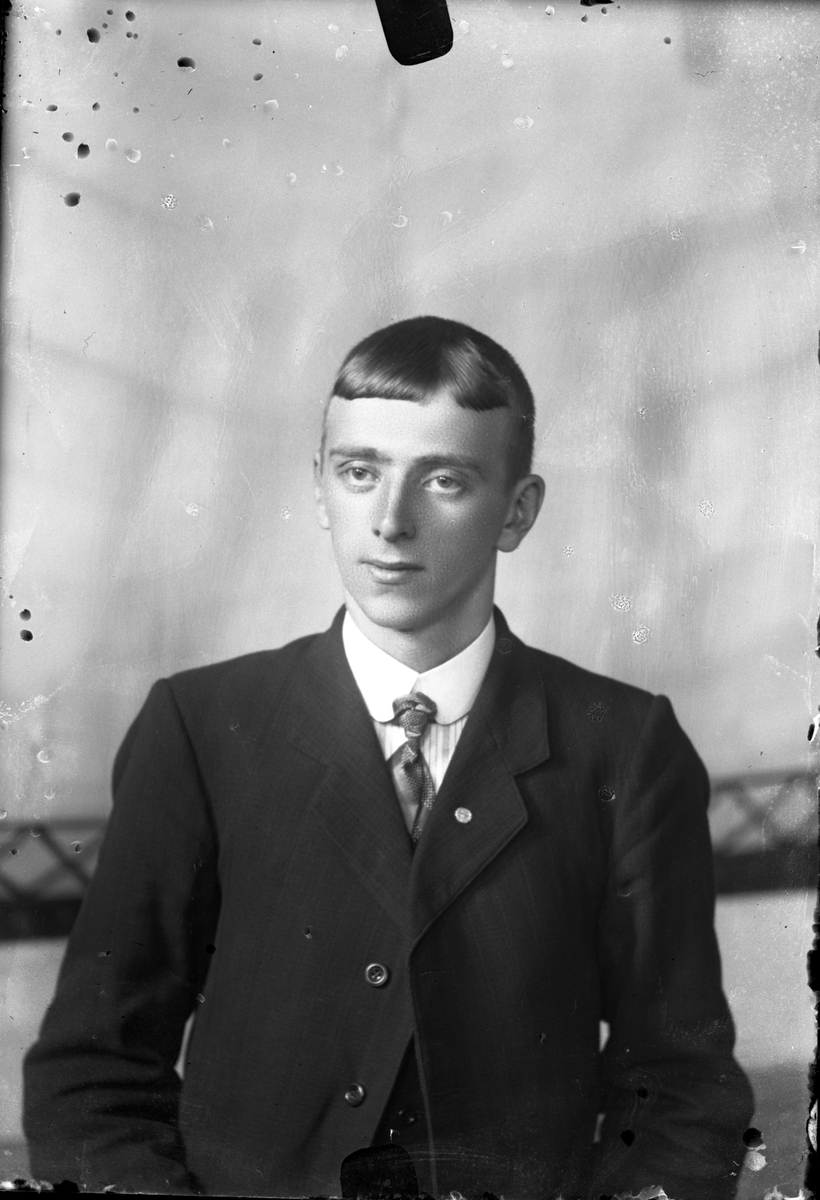 Oscar Holte, portrett, person, klær, stol, hund