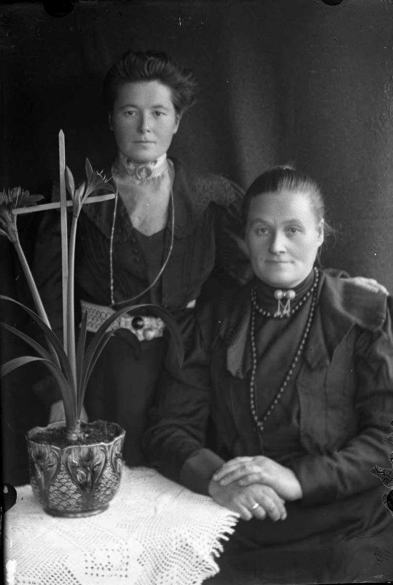 Oscar Holte, Portrett av to kvinner