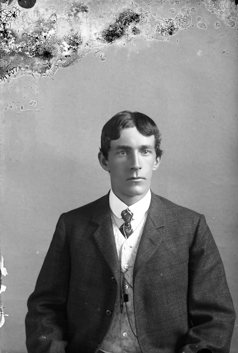 Oscar Holte, Portrett av mann
