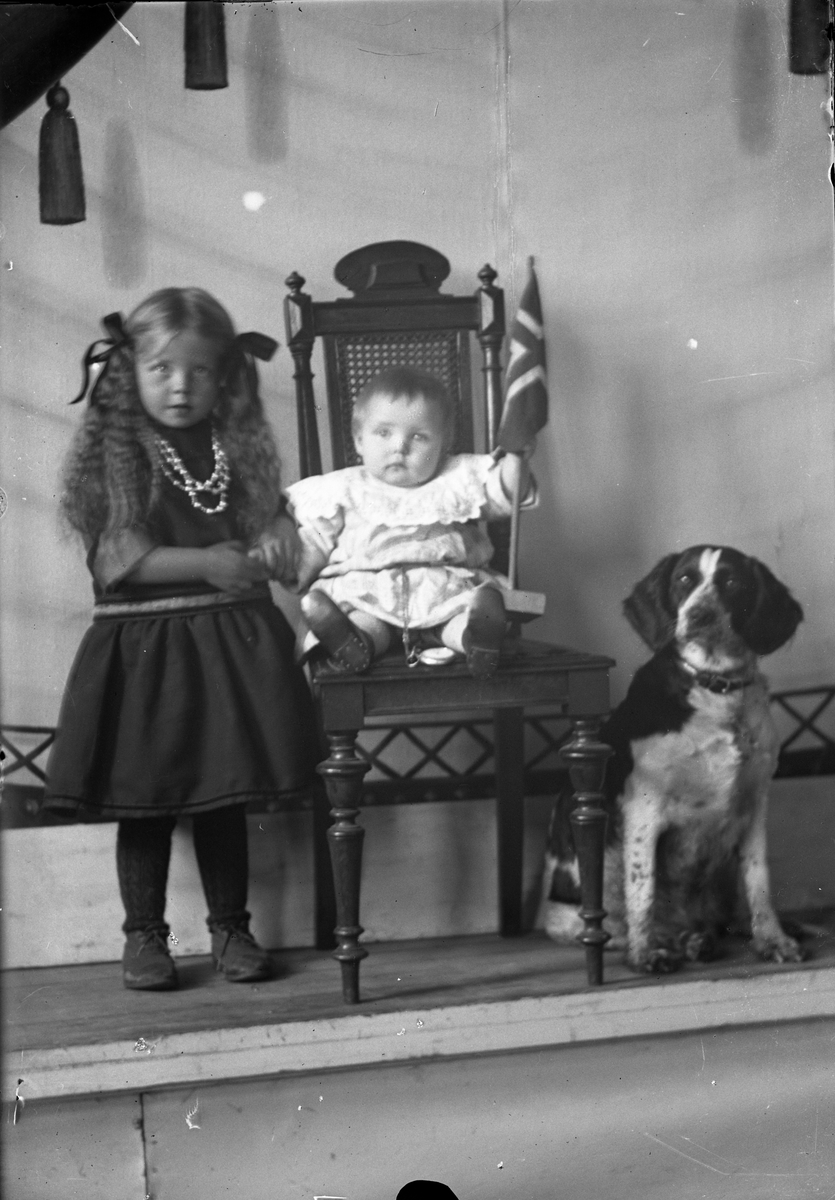 Oscar Holte, portrett, person, klær, barn, hund