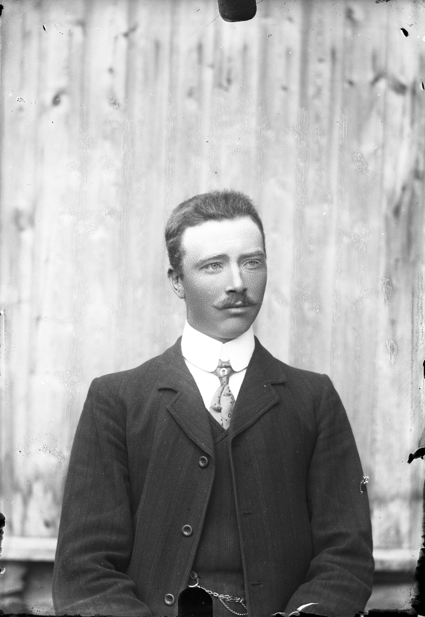 Oscar Holte, Portrett av mann